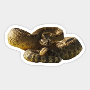 Rattlesnake, Reptiles, wildlife, gifts, Deadly Silence Sticker